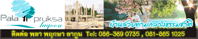 Pala PrukSa lagoon บ้าน พลา พฤกษา ลากูน  ความสุขท่ามกลางธรรมชาติ สระว่ายน้ำ ฟิตเส ทางเดินสวยเพื่อการจ๊อคกิ้ง ผ่อนคลาย 