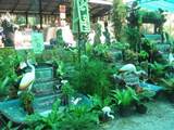 ของแต่งบ้านระยอง ศิลาดล