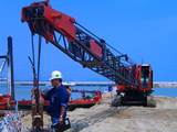 dsv inspection