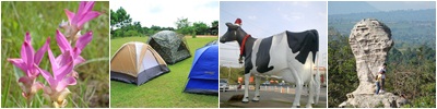 Thai Rayong