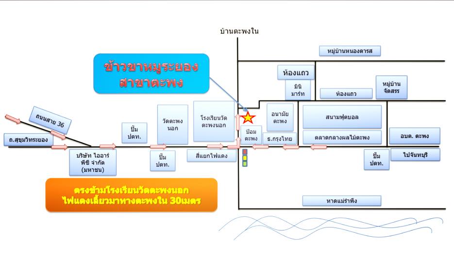 ข้าวขาหมูระยอง สาขาตะพง ข้าวกล่อง ข้าวหมูแดง มันไก่ เกี๋ยวเตี๋ยวเป็ดตุ๋น เน้นเป็ด คากิ
